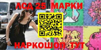 шишки Боровичи
