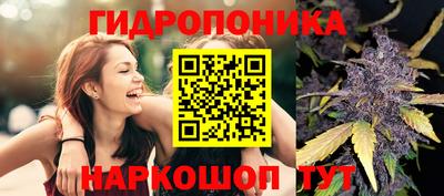 ПСИЛОЦИБИНОВЫЕ ГРИБЫ Брянск
