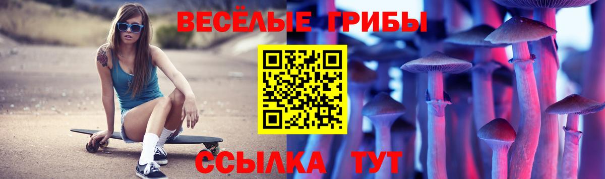 Псилоцибиновые грибы GOLDEN TEACHER Белгород